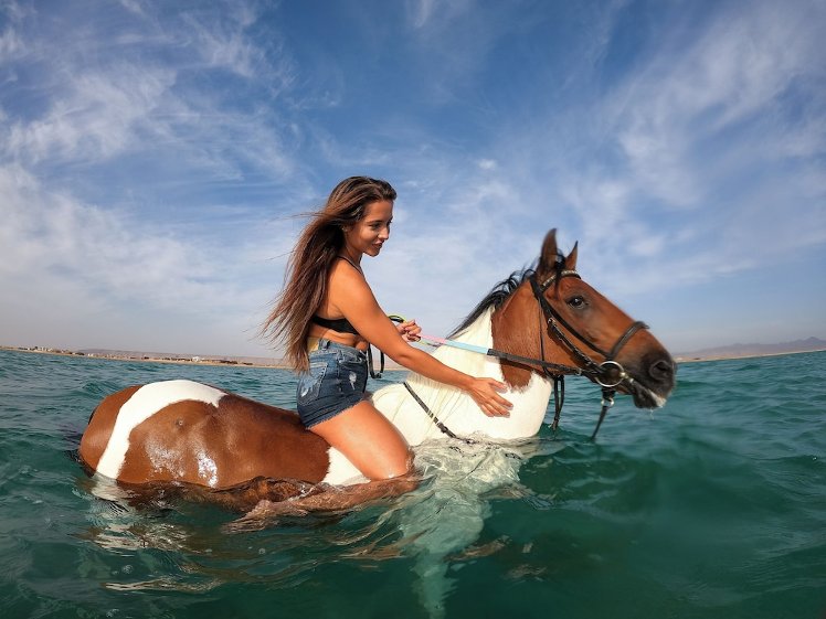 Captains Inn, Red Sea Riviera