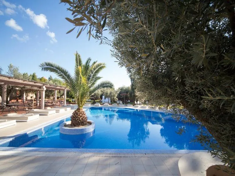 Pool, Riad La Maison des Oliviers, Marrakech