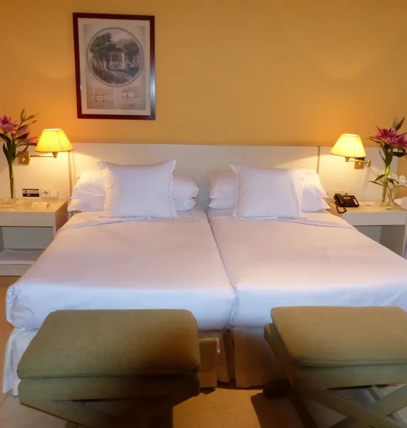 Double or Twin STANDARD Room, La Moraleja, Madrid