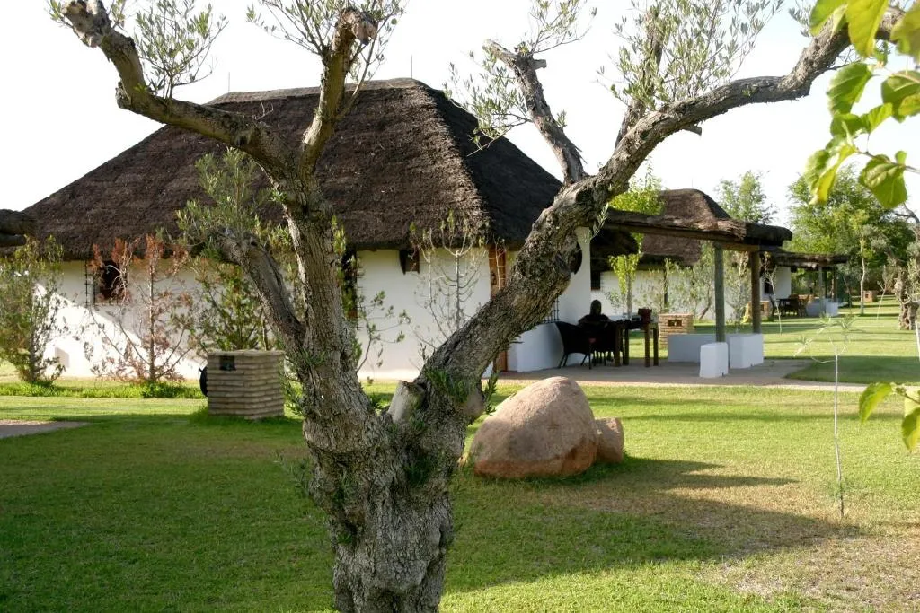 BUNGALOW STANDARD Room, Ardea Purpurea, Andalucia