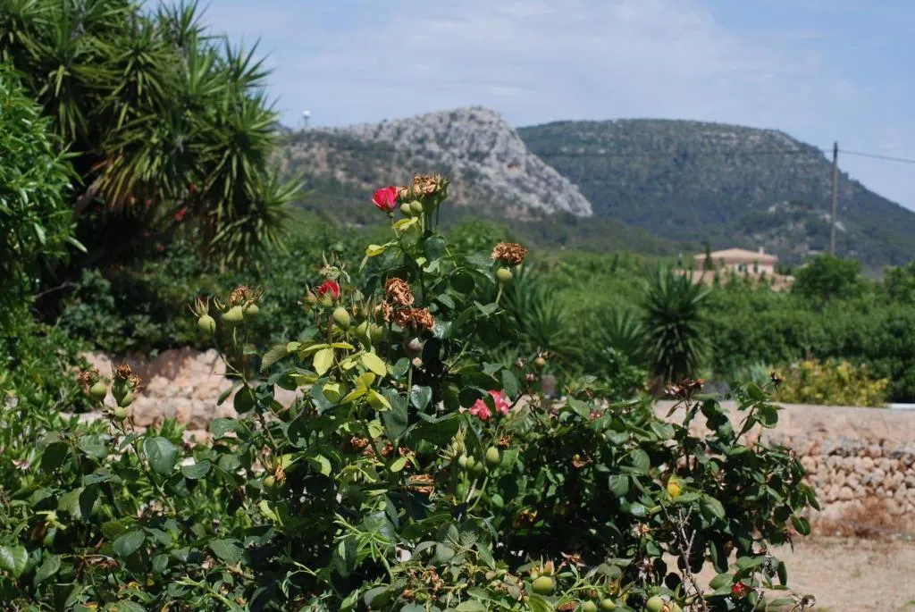 General view, Finca Can Paulino, Majorca