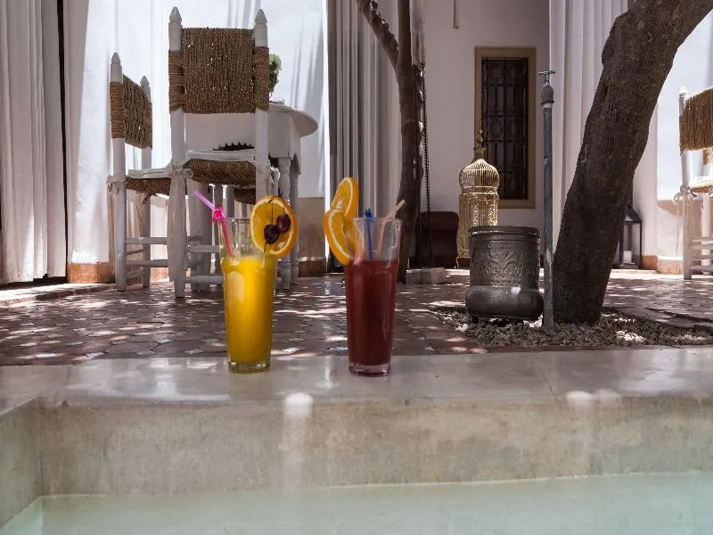 Pool, Riad Les Orangers D'Alilia, Marrakech