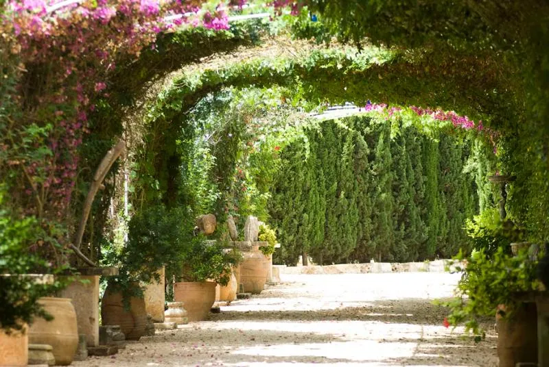General view, Es Revellar Art Resort, Majorca