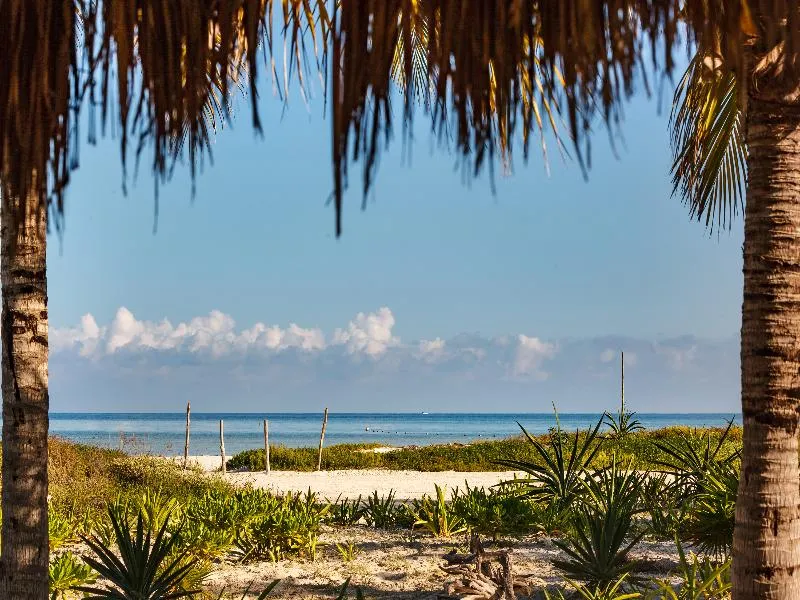 Beach, Villas HM Paraiso del Mar Holbox, Cancun Area