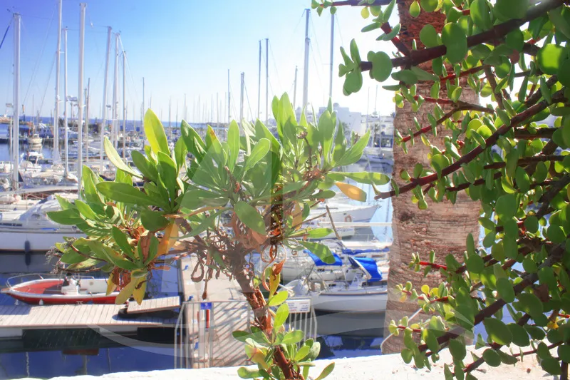 Terrace, Marina Cap Monastir Appart Hotel, Tunisia