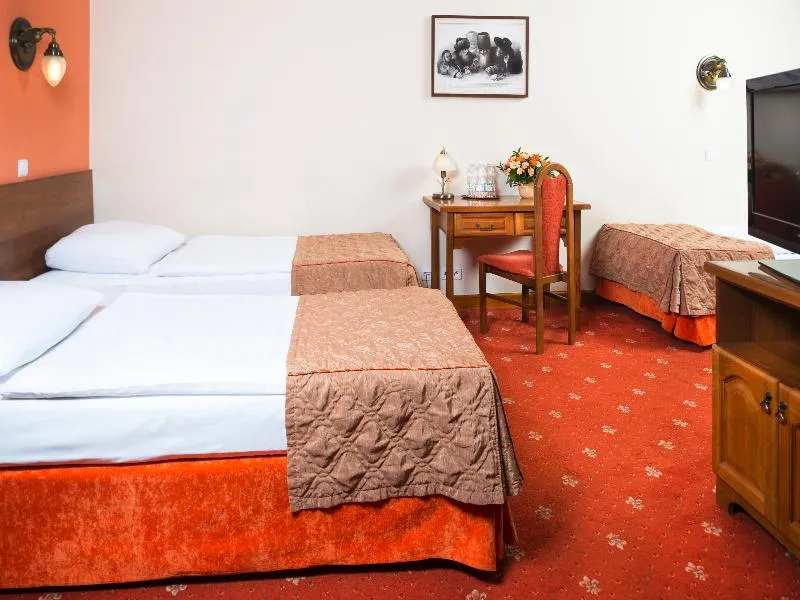 TRIPLE STANDARD Room, Regent, Krakow