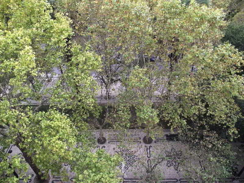 General view, Dom Sancho I, Lisbon