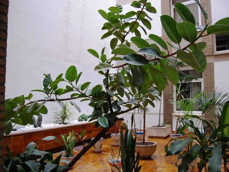 Lobby, Pasarela, Seville