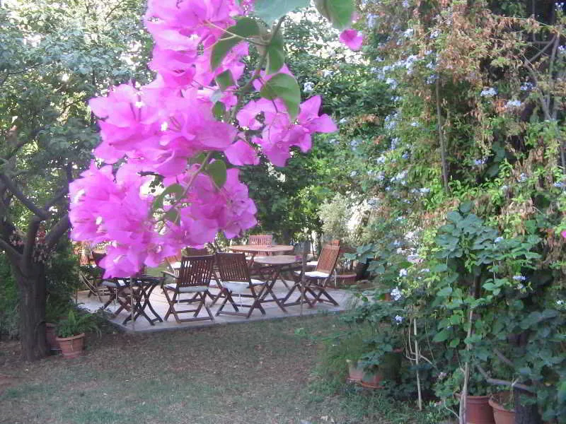 General view, Gulec, Bodrum