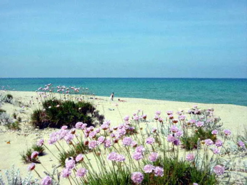Beach, Sandalia, Alghero