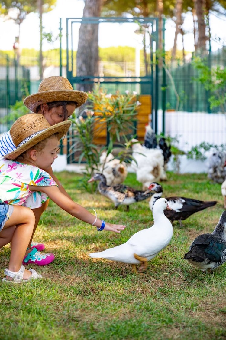 Oleandri Resort Paestum, Naples