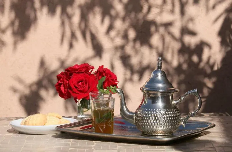 General view, Riad Baba Ali, Marrakech