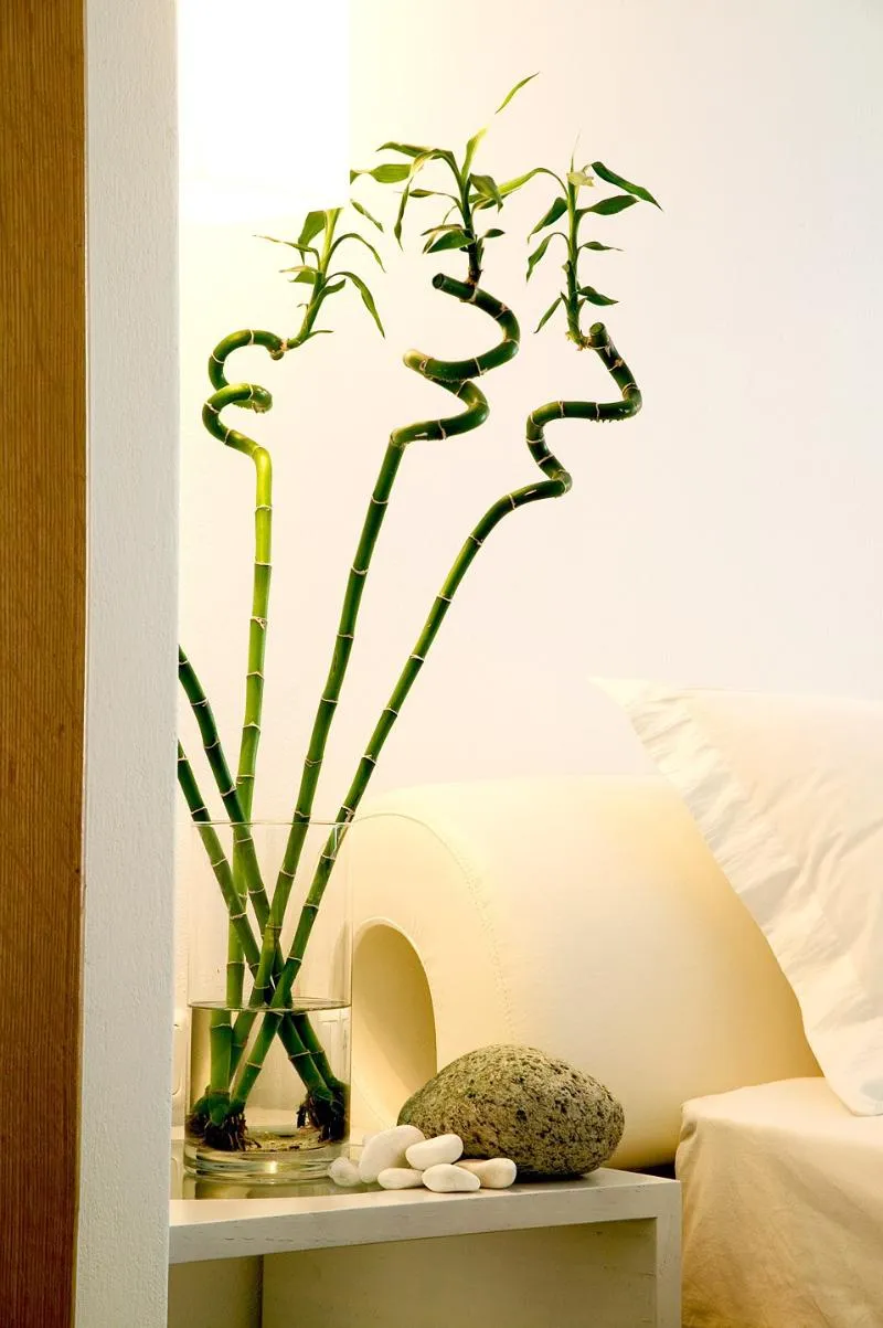 TRIPLE DELUXE Room, Petasos Beach Resort & Spa, Mykonos