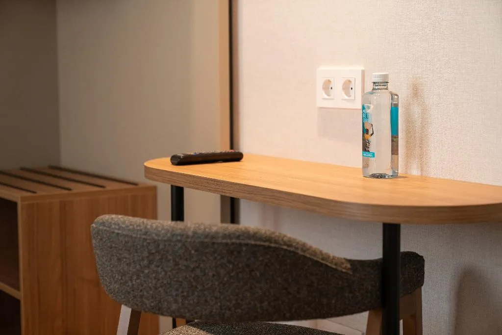 DOUBLE SINGLE USE BASIC Room, Petit Palace Preciados, Madrid