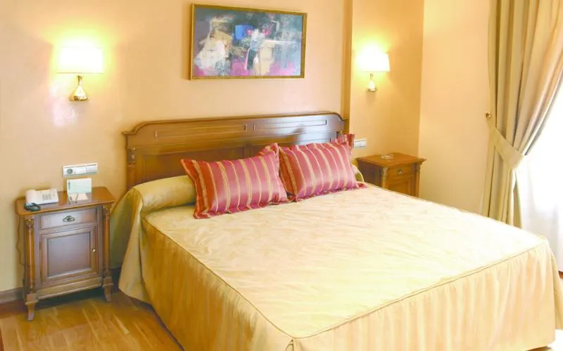 DOUBLE STANDARD Room, Sercotel Guadiana, Madrid