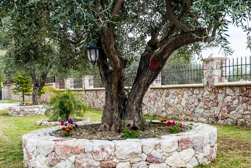 Terrace, Village View Afandou, Rhodes