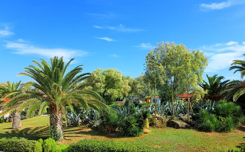 General view, Santa Marina Beach, Crete