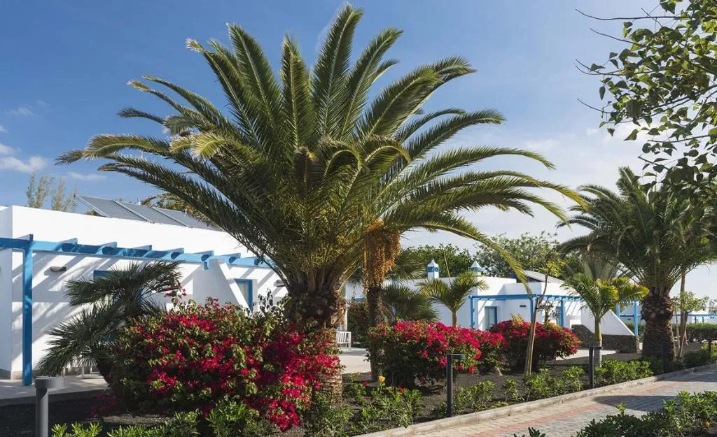SUITE STANDARD Room, Elba Premium Suites, Lanzarote