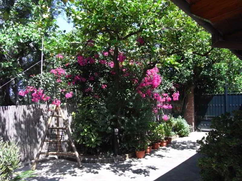 Sports and Entertainment, Residence Casale Nunziatina, Naples
