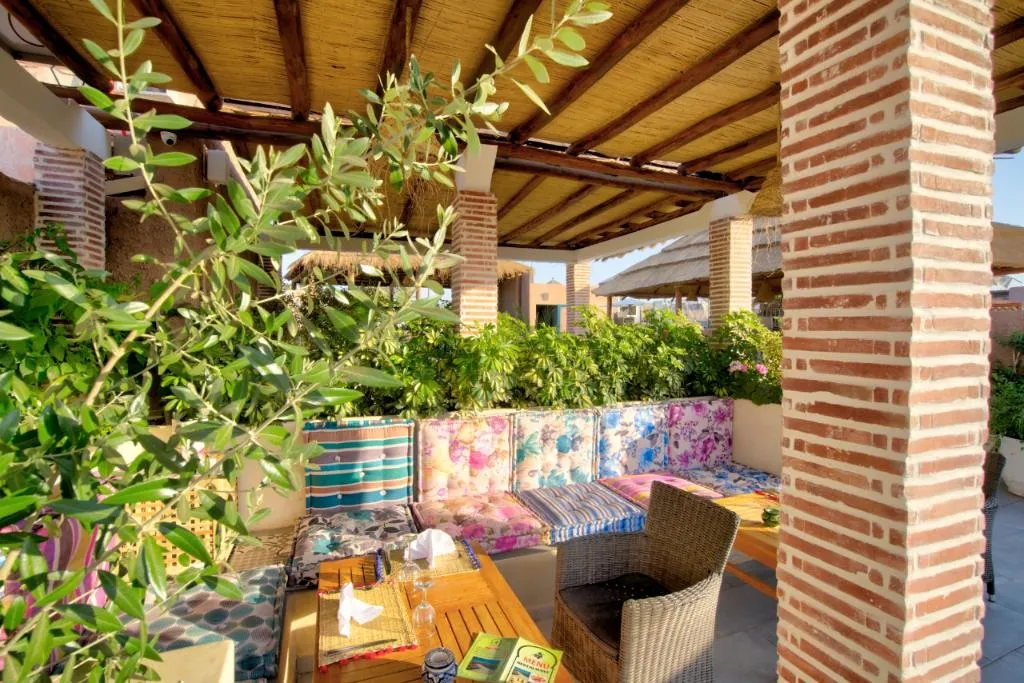 Terrace, Riad Les Oliviers and Spa, Marrakech