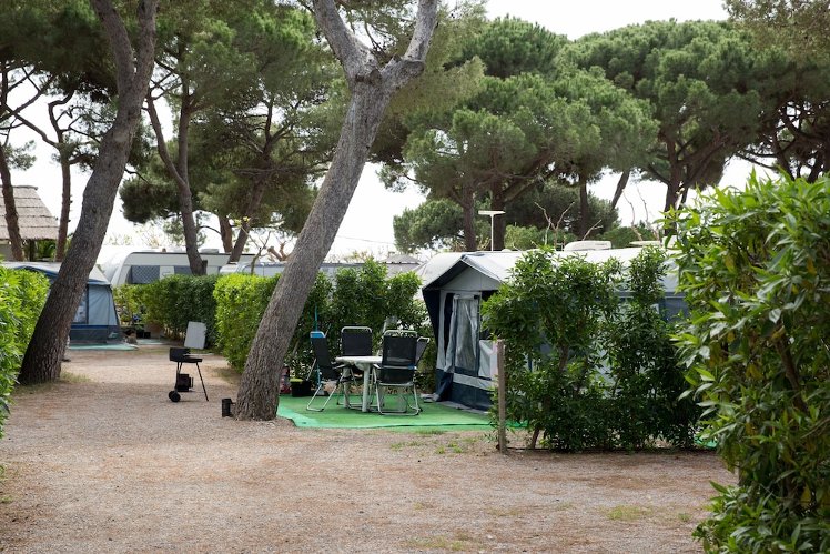 3 Estrellas Camping, Barcelona