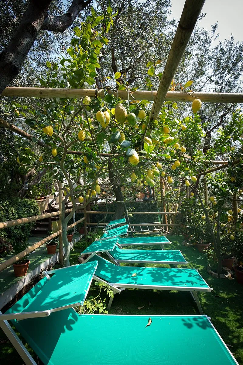 Pool, Villa Bella Vista near Positano and Amalfi, Naples