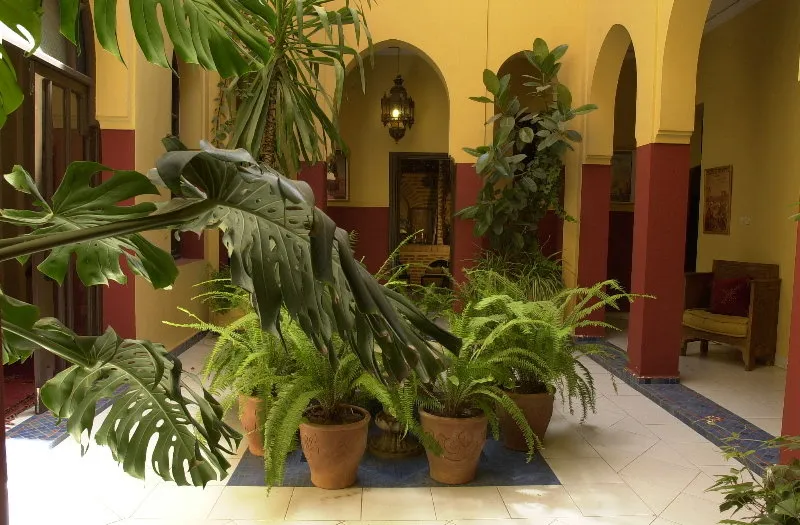 General view, Dar Naima, Marrakech