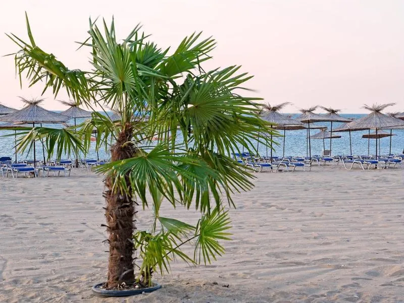 Beach, LTI Berlin Green Park, Varna