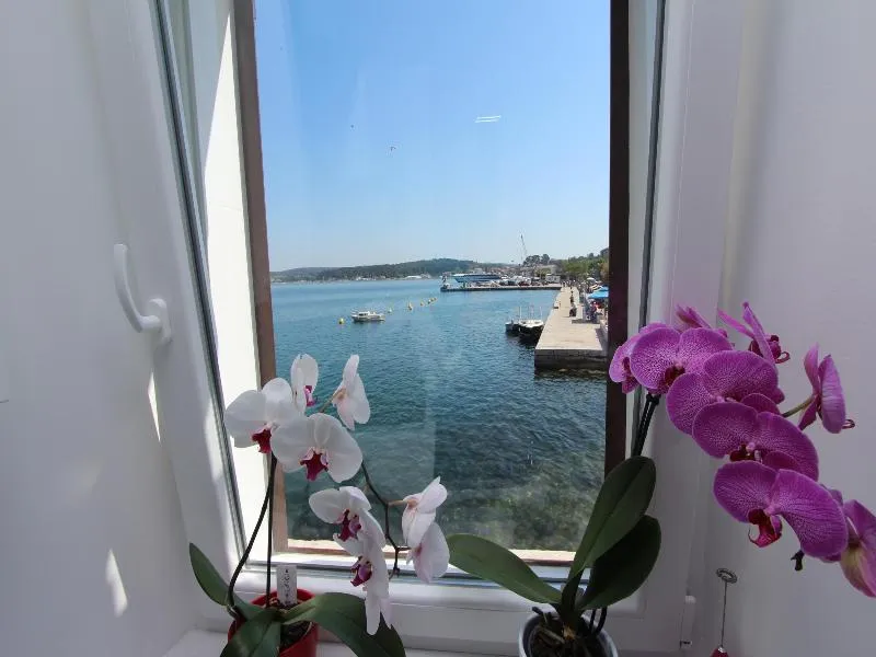 APARTMENT SEA VIEW ONE BEDROOM Room, Apartment Edi, Istria