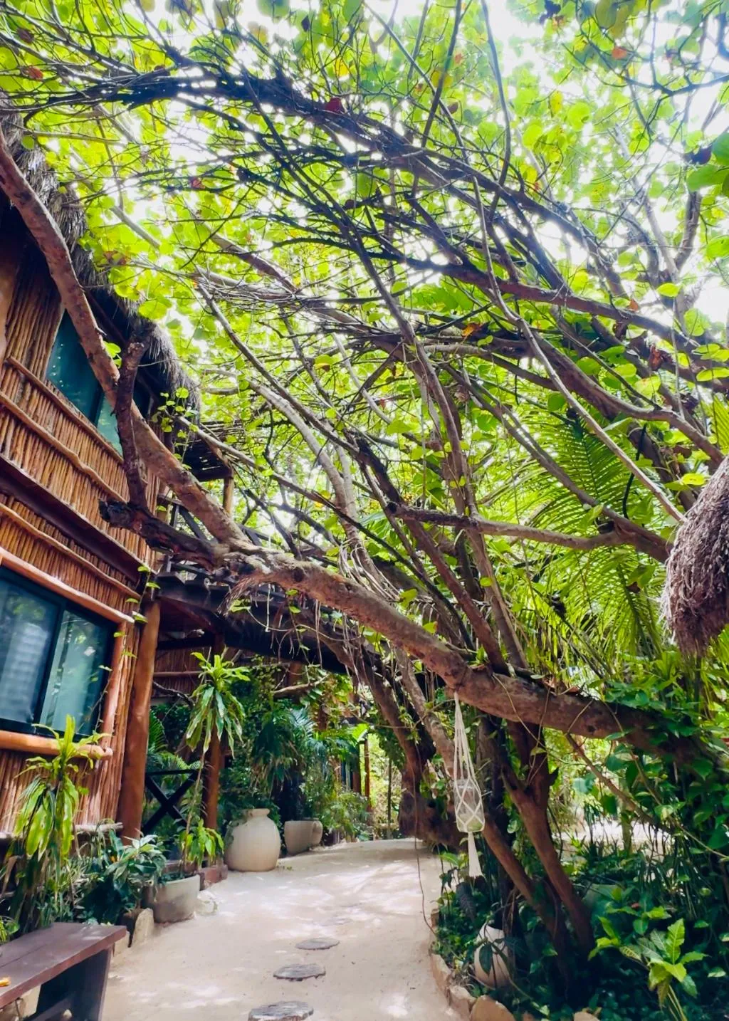General view, Hotelito Azul, Cancun Area