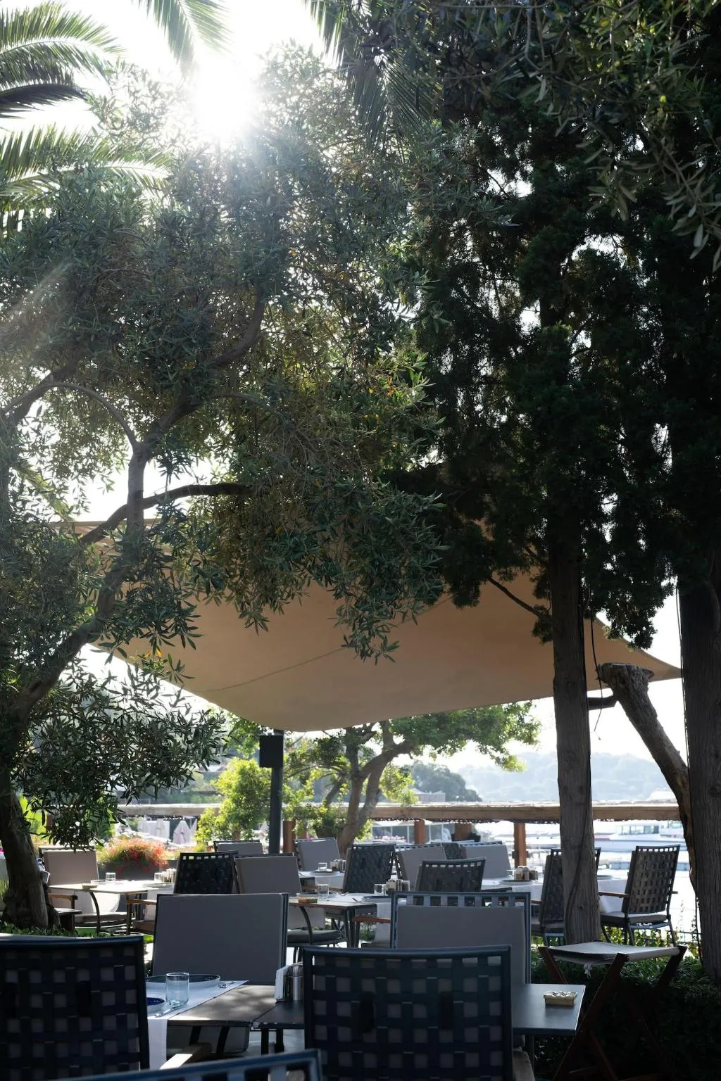 General view, No 81 Hotel, Bodrum