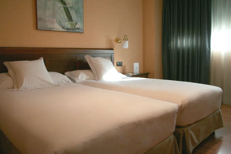 DOUBLE SINGLE USE STANDARD Room, Las Provincias, Madrid