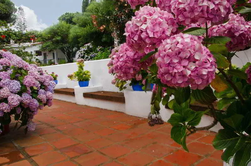 Terrace, Meson de Sancho, Costa De La Luz