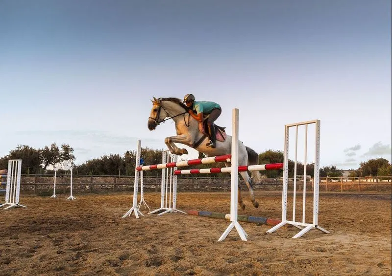 Sports and Entertainment, Sentido Phenicia, Tunisia