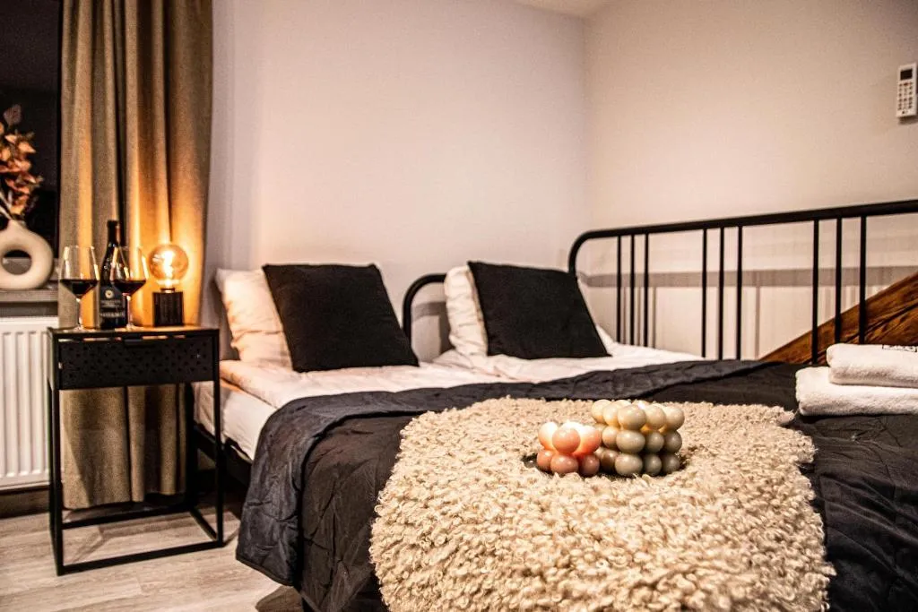 STUDIO DELUXE Room, Wine Apartments, Krakow