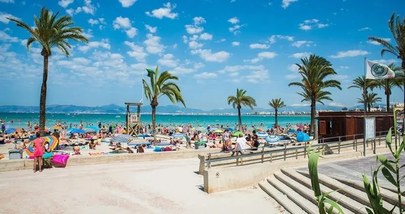 Beach, Iris, Majorca