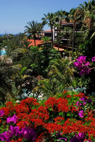 General view, Parque Tropical, Gran Canaria