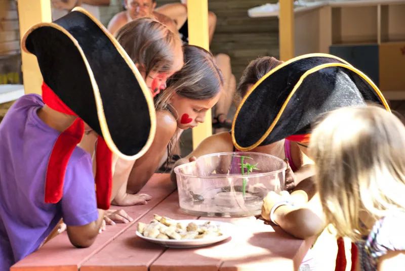 Sports and Entertainment, Omer Holiday Resort, Izmir