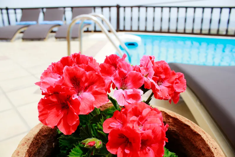 Pool, Amerisa Suites, Santorini