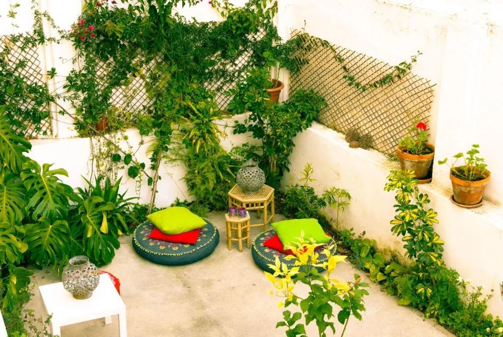 Terrace, Terrace Lisbon Hostel, Lisbon