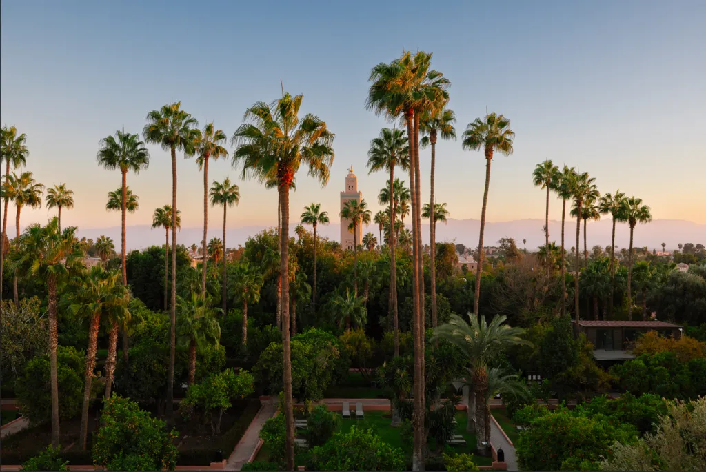 General view, Medina Gardens, Marrakech