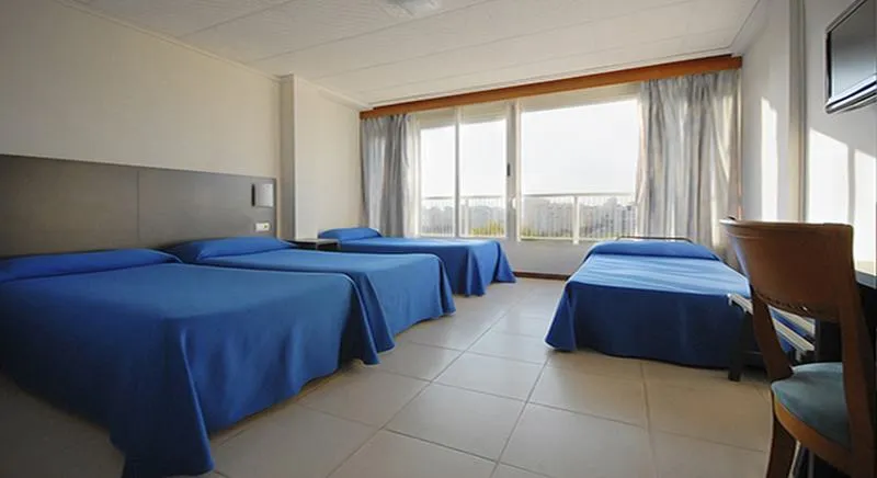 QUADRUPLE STANDARD Room, Safari, Valencia