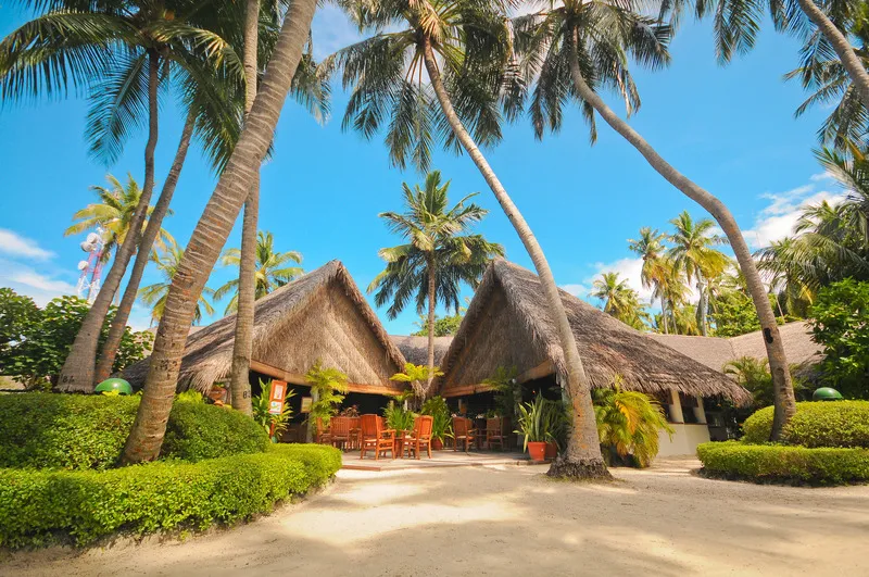 Bar, Fihalhohi Maldives, Male