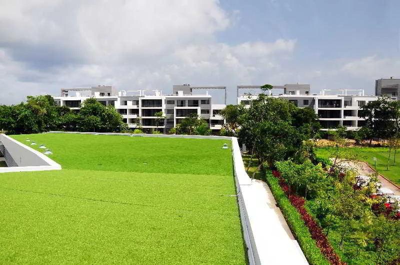 Sports and Entertainment, Pure All Suites Riviera Maya, Playa Del Carmen