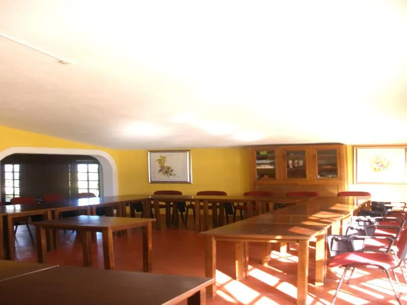 Conferences, Quinta Da Vigia, Lisbon