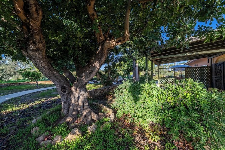 B&B Villa Carlotta Resort, Catania