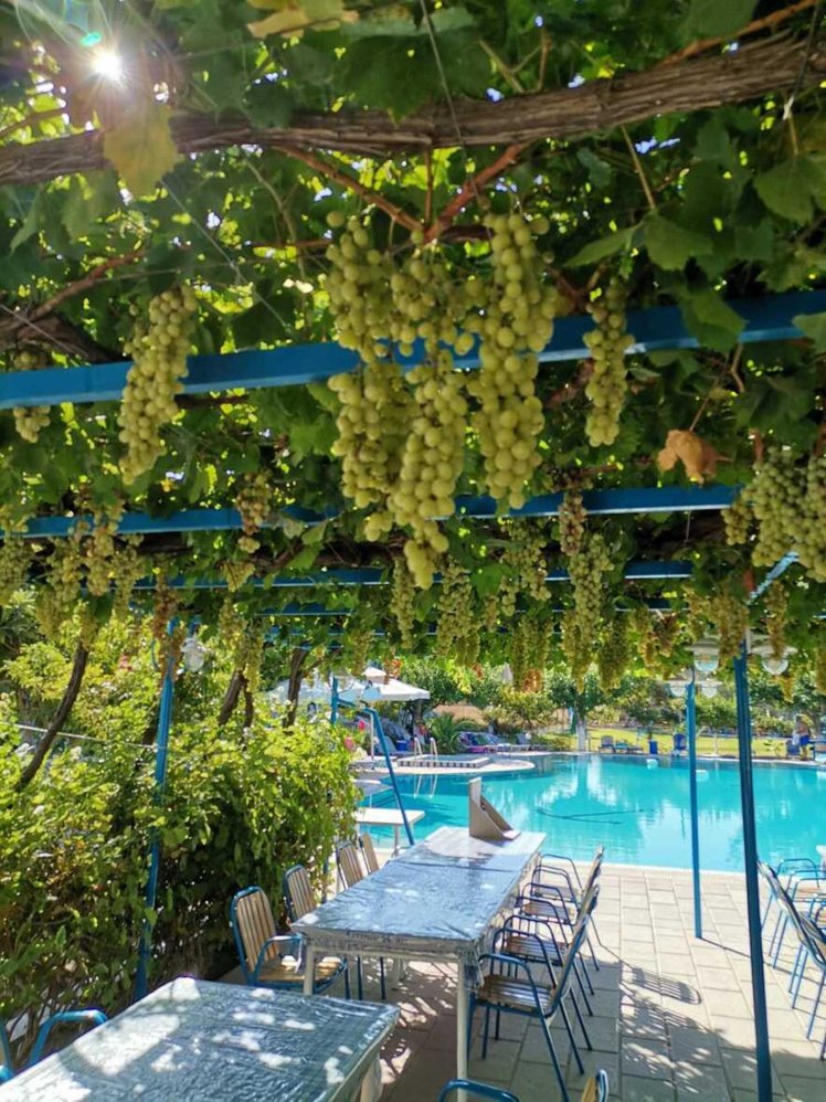 Garden Hotel, Rhodes