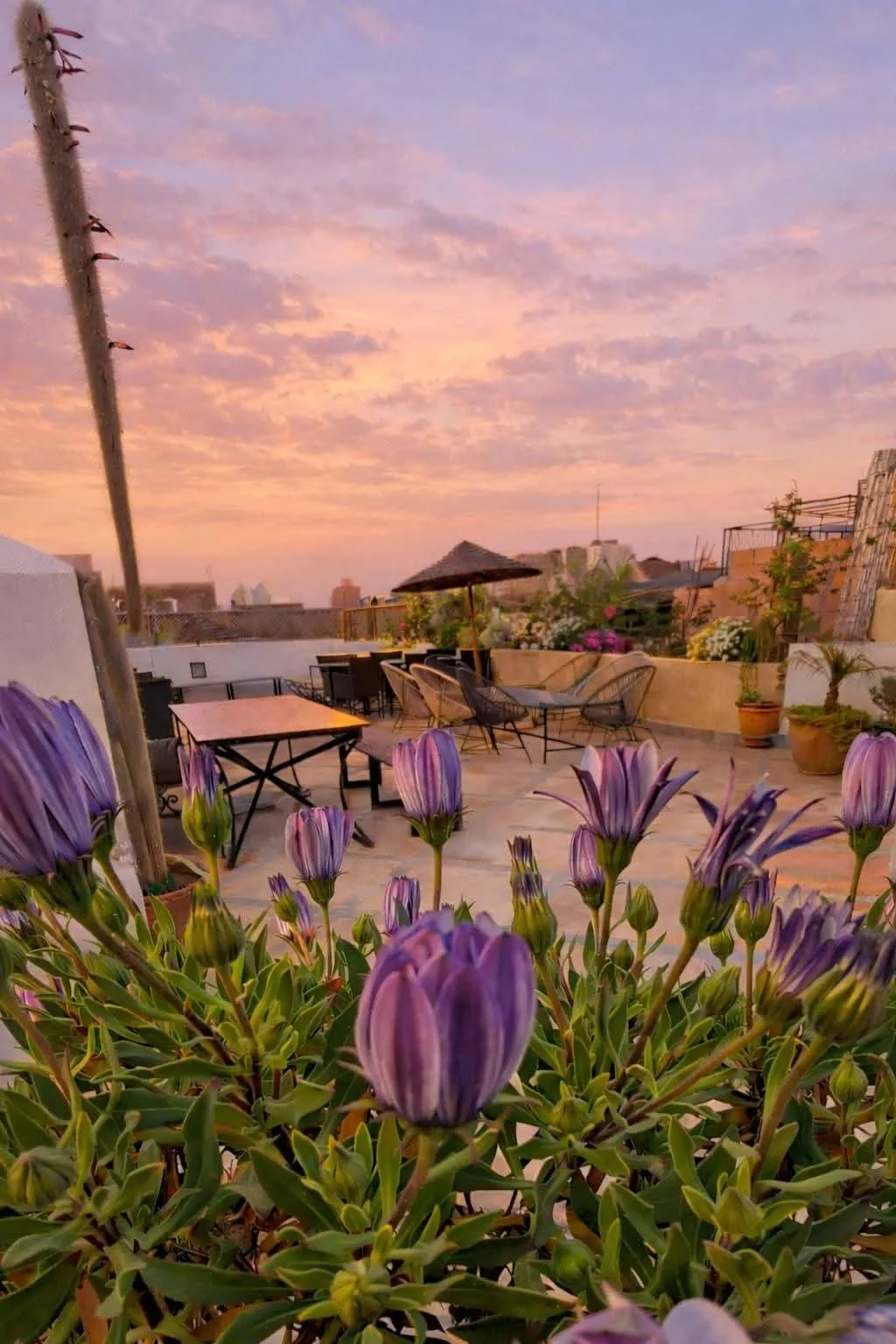 Terrace, Riad 48 & Spa, Marrakech