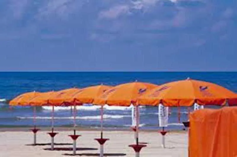 Beach, Orchidea, Naples