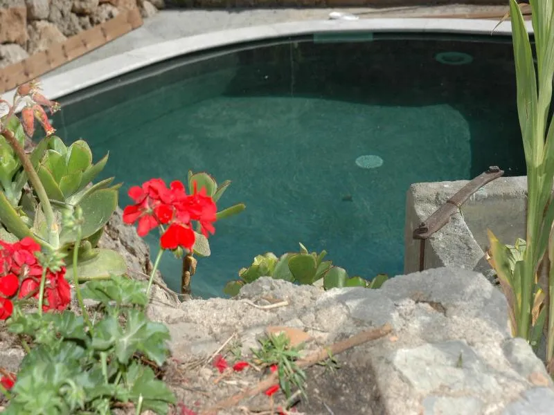 Pool, Asis de Marratxinet, Majorca